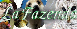 Virtual Tour La Fazenda